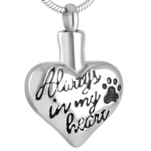 Always In My Heart Paw Pendant & Chain