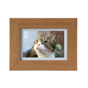 Tribute Frame