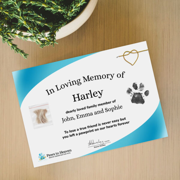Memorial Certificate with Lock of Hair and Paw Print