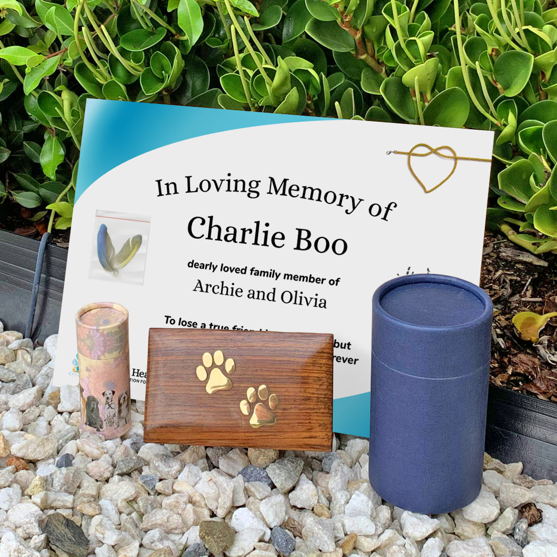 Small Animal/Pet Water Cremation (Pocket Pet) Paws to Heaven