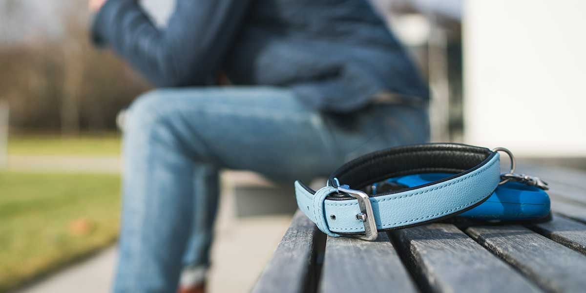 Dealing with Guilt and Regret After the Loss of a Pet: Coping Strategies for Pet Owners