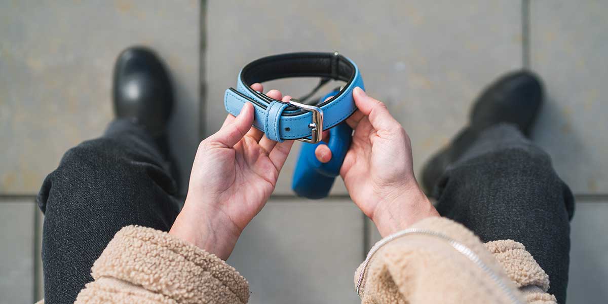 How to Support a Friend Who Has Lost a Pet