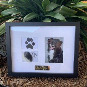 Lasting Impression Frame URN - Black or White Frame - Small or Large (Ashes are placed in back of frame)