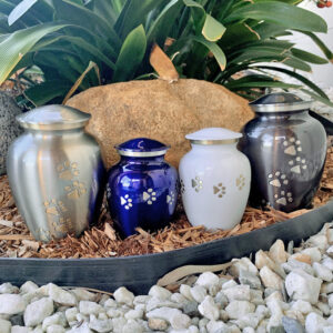 Brass Urn Package
