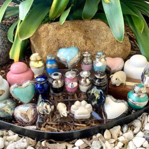 Miniature Pet Package (Less than 1kg) - birds, guinea pigs, rats/mice, reptiles, amphibians, fish, etc