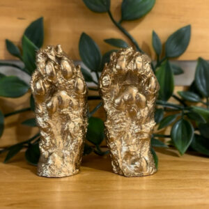 Paw Castings - Gold, Silver or Black(with Gold or Silver Fleck) - Freestanding or Mounted