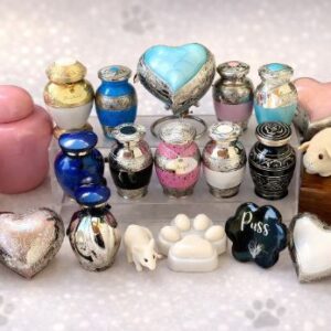 Miniature Pet Package (Less than 1kg) - birds, guinea pigs, rats/mice, reptiles, amphibians, fish, etc