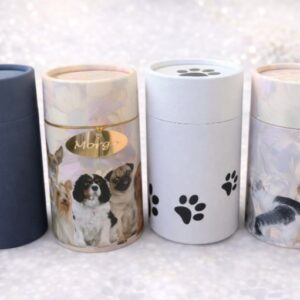 Essential Scatter Tube Package