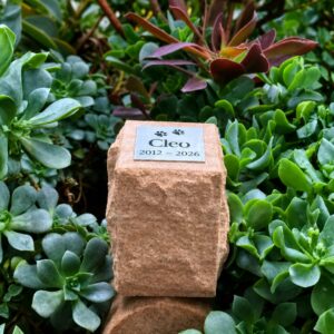 Mini Rockface Sandstone Outdoor Pet Urn (Personalised Pawprint miniaturised can be added)