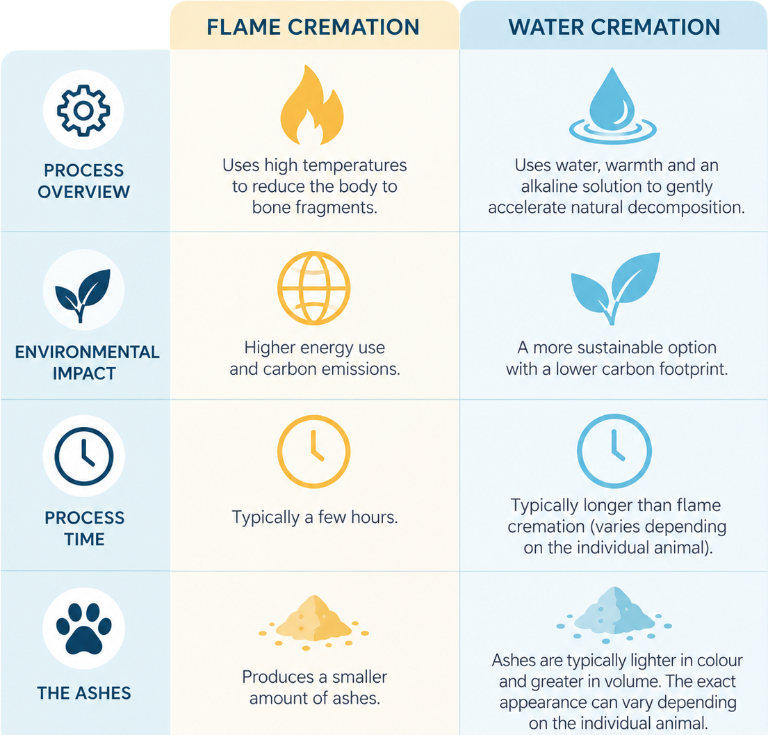 Water Cremation vs Flame Cremation